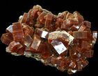 Lustrous Red Vanadinite Crystals on Matrix - Morocco #42204-1
